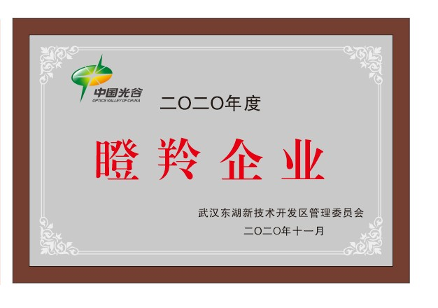 瞪羚企業(yè)